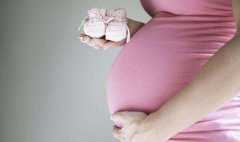 供卵有养成囊胚移植的吗,海外助孕试管婴儿中双胞胎的费用是多少？_供卵代生