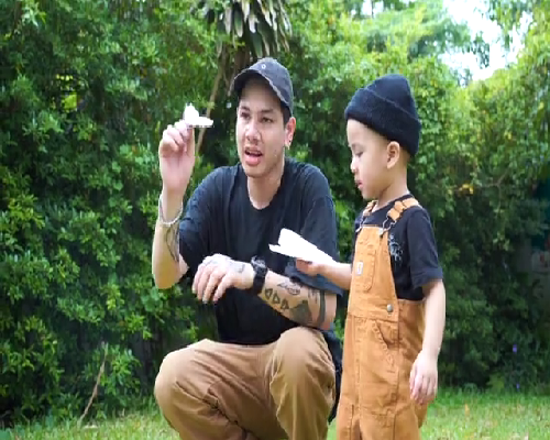 试管婴儿监测排卵指南：关键步骤与方案解析